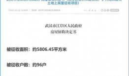 武汉爆料最新消息,疫情动态与防控措施再升级